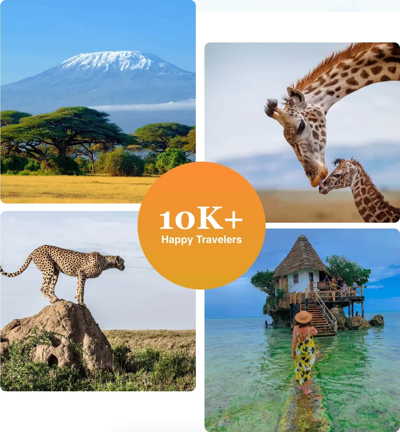 Mount Kilimanjaro, a giraffe and calf, a cheetah, and a Zanzibar island restaurant