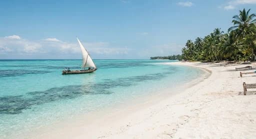 Turquoise clear Indian Ocean shallow coral waters of Zanzibar with a handcrafted wooden dhow sailboat with white triangle sail floating silently, pristine white powder sand beach, palm trees swaying on horizon, tranquil serene editorial mood.
